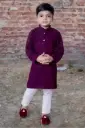 Festive Kurta Set